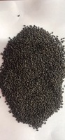 Graines de basilic noir biologique en vrac de haute qualité et à prix compétitif 99 GOLD DATA WS 0084587176063