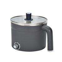 Mini marmite électrique, cuiseur électrique de 1,2 l, cuiseur rapide de nouilles adapté aux nouilles, aux œufs, à la soupe, au riz
