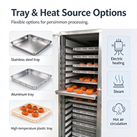 Équipement de séchage de kakis, machine de séchage de fruits commerciale avec circulation d'air chaud pour kakis frais