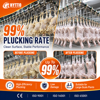 Ligne d'abattage avicole écoénergétique, machine d'abattage pour abattoir, équipement d'abattage de poulets, CE ISO, traitement automatique personnalisé