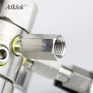 Regolatore di Pressione Industriale ad Alta Precisione 4000*60psi per Ossigeno, <span class=keywords><strong>CO2</strong></span>, Argon, Azoto, Aria, Idrogeno, Acetilene - Product Image 5