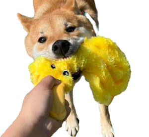 Tompo ของเล่นรูปเป็ดน้อยสีเหลืองสำหรับสุนัขของเล่นที่ทนทานเสียงส่งเสียงร้องเสียงคลายเครียดสำหรับชาร์จเป็ดสัตว์เลี้ยง - Product Image 3