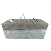 Nouvelle cage à pigeons à montage DIY pour la maison, maille fine, rotation automatique, galvanisée, montage facile