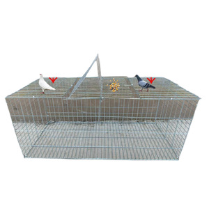 Nouvelle cage à pigeons à montage DIY pour la maison, <span class=keywords><strong>maille</strong></span> fine, rotation automatique, galvanisée, montage facile - Product Image 2