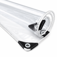 Bâche transparente robuste avec œillets 10x20FT, bâche acrylique imperméable 14 mil, idéale pour tente extérieure et abri de patio
