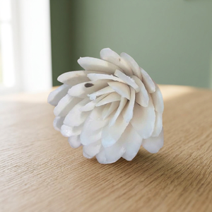 Thai Style 8 CM Sola Wood Dried <b>Reed</b> <b>Diffuser</b> White Environmental Friendly Indoor Home Decorative Flowers Plants <b>for</b> Weddings - Product Image 3