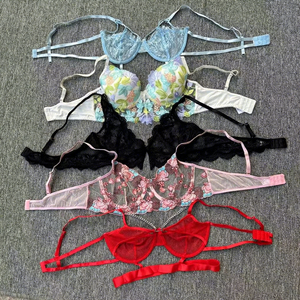 Clairvoyant dentelle sexy filles lingerie soutien-gorge dames érotique transparent voir à travers le luxe femmes sexy soutien-gorge Équateur Serbie Pérou - Product Image 2