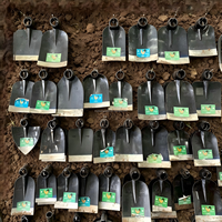 Houes de jardinage et d'agriculture robustes en acier au carbone forgé, houe de fer multifonctionnelle pour le désherbage