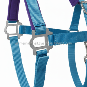 Licol de cheval Triple rembourré en nylon, tailles personnalisées avec finition en satin, matériel en laiton réglable - Product Image 1