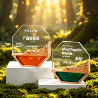 Trophée personnalisé en bois, prix sportif d'entreprise, récompenses octogonales dorées, logo gravé au laser, certificat, souvenir, cadeau