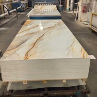 Paneles de Pared de PVC con Acabado Brillante, Resistentes al Agua y a los Rayos UV, Diseño Moderno para Baño, Hospital, Gimnasio, Almacén, 4x8 1220*2800/1220*2440 mm