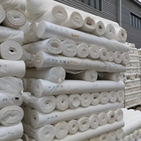 Tissu taffetas tissé 75D 210T 100% polyester pour garçons et filles, doublure légère imperméable, vente en gros d'usine