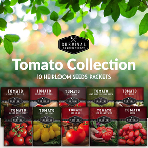 Collection de <span class=keywords><strong>tomates</strong></span>-un arc-en-ciel de variétés de <span class=keywords><strong>tomates</strong></span> <span class=keywords><strong>anciennes</strong></span> - Product Image 3
