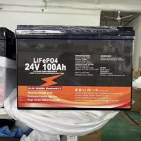 Paket Baterai LiFePO4 Fuyue 24V 100Ah untuk Sistem Terhubung Jaringan dengan BMS Cerdas 100A Discharge dan 8000 Siklus Pengisian Ulang Deep Cycle