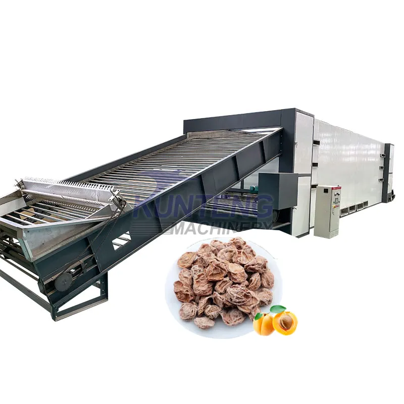 Manufacturer of electric gas fruit dehydrator dried figs melon pistachio nuts making removing drying machine walnut drier