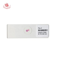 Prepared Slides 10 Kinds Parasite Slides Set Parasitology Microscope Prepared Slides Medical Education