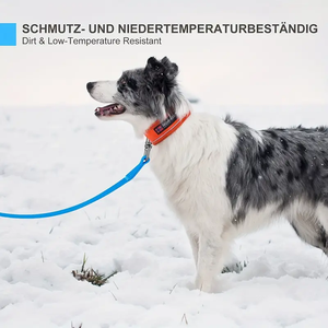 Durable Nylon <span class=keywords><strong>Dog</strong></span> Training Lead Robusto 5M 10M 15M PVC <span class=keywords><strong>Dog</strong></span> <span class=keywords><strong>Collar</strong></span> largo con cintas de bolsillo de malla Desodorante sostenible Característica