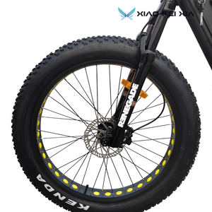 Bicicleta Eléctrica <span class=keywords><strong>Bafang</strong></span> G510 con Motor Central / Bicicleta de Montaña Eléctrica de Litio de Alta Gama Personalizada OEM, <span class=keywords><strong>Fatbike</strong></span> en Venta - Product Image 6
