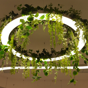 Lumière <span class=keywords><strong>de</strong></span> croissance des plantes LED circulaire personnalisée, <span class=keywords><strong>luminaire</strong></span> suspendu pour bâtiment <span class=keywords><strong>de</strong></span> bureaux, éclairage <span class=keywords><strong>de</strong></span> style lustre, fabrication directe d'usine - Product Image 2