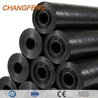 Géomembrane HDPE 0,2-3,0 mm lisse ou texturée pour bassin piscicole, étanche, OEM/ODM, moderne et écologique