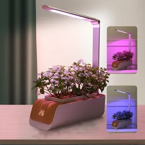 I più venduti vaso da fiori autoirrigante pianta da interno idroponica coltiva vasi da fiori e fioriere leggeri