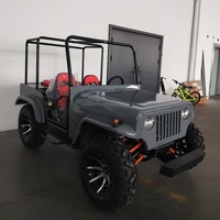 Jeep 4x4 tout-terrain, mini jeep 250cc, buggy des dunes, 4 roues motrices, quad, jeep côte à côte à vendre
