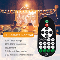 Guirlandes lumineuses à télécommande extérieure 750W-1500W Max Dimmable Interrupteur sans fil Gradateur