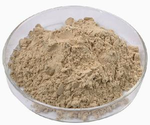 GANOHERB organik <span class=keywords><strong>Ginseng</strong></span> özü tozu, sağlık ürünleri uygulamaları için bitkisel mantar tozu - Product Image 2