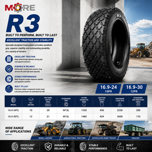 Neumático para Césped Sólido Nuevo 16.9-24TL 10PR R3 para Tractor, Cortadora de Césped, Campos de Golf, Parques y Operaciones de Paisajismo Municipal - Product Image 2