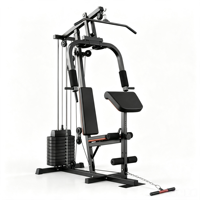 Machine à exercices multifonctionnelle à bras unique pour pectoraux et deltéens arrière, à charge libre, pour usage commercial