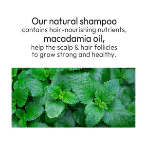 Shampoo à la menthe poivrée YOGI Private Label, entièrement naturel, antipelliculaire, pour des cheveux propres, produit par [Nom du producteur] - Product Image 4