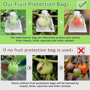 Fruit Protection Bag Fruit Trees Fruit Cover Mesh Bag with Drawstring Anti Insect - Product Image 4