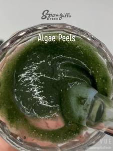 美容セラピー用アルゲア皮セット - Product Image 3