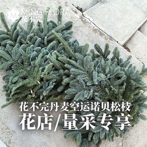 MING FLORA Branches de pin nobles du Danemark, coupées fraîchement, décorations florales de Noël, qualité niveau 1 - Product Image 4