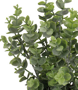 Semen jenis rumput tanaman pot plastik daun uang 30cm H dengan daun uang untuk DALAM ATAU luar ruangan - Product Image 3