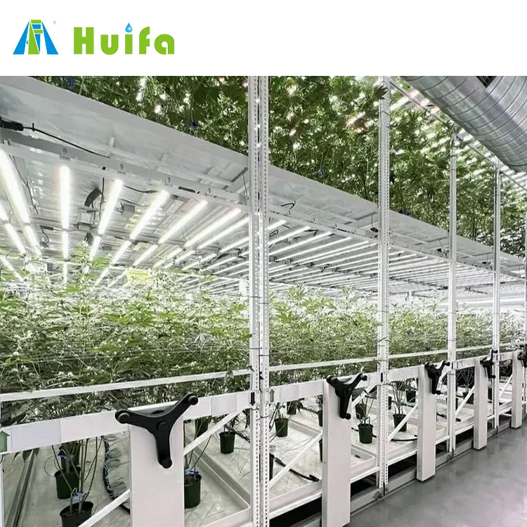 Indoor Farming Mobile And Stationary Racking Systems Operation Vertical Facility Provide Design Analysis Service