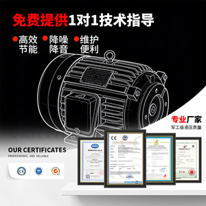 มอเตอร์ไฮดรอลิก Bo Rui 0.75KW ถึง 7.5KW แบบเสียบภายใน สำหรับสถานีไฮดรอลิก - Product Image 3