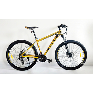 <span class=keywords><strong>Vélo</strong></span> de ville pour <span class=keywords><strong>femme</strong></span> <span class=keywords><strong>26</strong></span> <span class=keywords><strong>pouces</strong></span>, 21/27 vitesses, avec fourche en acier allié, vente en gros - Product Image 3