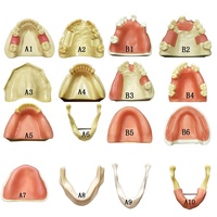 Modelo de enseñanza de práctica de implantes dentales