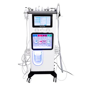 12 in 1 H2o2 Hydro Microdermabrasion Instrument Hydra Oxigen Dermabrasion Machine for Facial