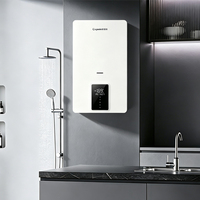 Chaudière murale à gaz OEM ODM 220V avec thermostat intelligent à température constante, vente en gros mondiale avec pièces de rechange complètes gratuites