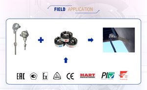 Transmisor de Temperatura Inteligente para Montaje en Cabeza, Compatible con: HART, PA, <span class=keywords><strong>FF</strong></span>, Modbus, Salida 4-20mA - Product Image 3