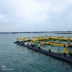 Cage à poissons carrée en HDPE avec plateforme de travail pour l'aquaculture intérieure - Product Image 1