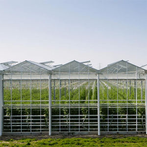 Grande serre en verre multi-chapelles pour tomates, kit avec structure en acier galvanisé à chaud et ventilation continue du toit, pour usage agricole - Product Image 2