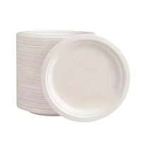 Assiette en bagasse de 8 pouces, résistante à la chaleur, compatible micro-ondes, jetable, biodégradable, respectueuse de l'environnement, pour fêtes, restaurants, camping