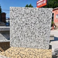 Carreaux de granit blanc sésame, surface sablée moderne, durables, découpés sur mesure, solutions de design graphique, garantie 5 ans – Approvisionnement direct usine