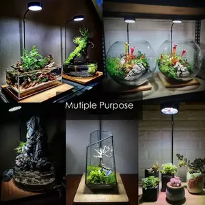 Multifunction Bamboo Board Freshwater Fish Tank Lamp <strong>Vivarium</strong> Terrarium <strong>Light</strong> Planted Full Spectrum Led Aquarium <strong>Light</strong> - Product Image 6