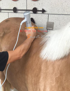 Mesin terapi gelombang kejut ekstrakorporeal pertumbuhan tulang gangguan hewan kecil - Product Image 6