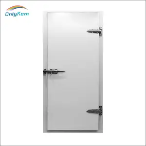 Service Door Cold Storage Door Hinged Door for Cold Room