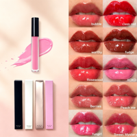 Gloss à lèvres végétalien personnalisé avec logo, maquillage minéral, hydratant, lissant, longue tenue, brillant, pour des lèvres pulpeuses, sans danger